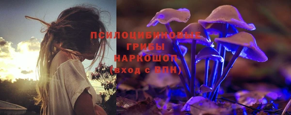 МДПВ Верея