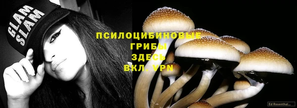 МДПВ Верея