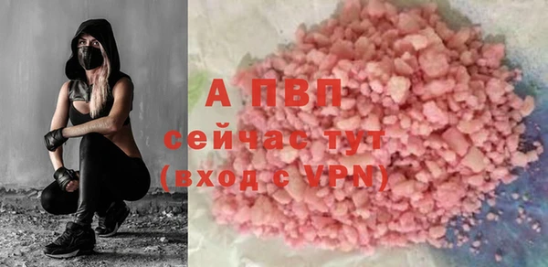 прущие грибы Верхнеуральск