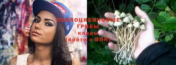 МДПВ Верея